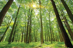Γιατί η COP30 πρέπει να αντιμετωπίσει το κλιματικό χάσμα πραγματικότητας