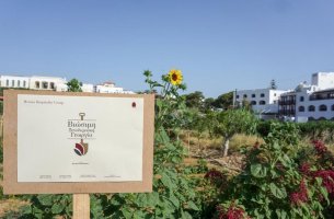 Metaxa Hospitality Group: Νέα ESG διάκριση για τις βιολογικές-αναγεννητικές ξενοδοχειακές γαίες