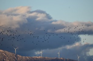 Η πρόσβαση στην περιβαλλοντική πληροφορία στην ψηφιακή εποχή: γιατί είναι πιο κρίσιμη από ποτέ