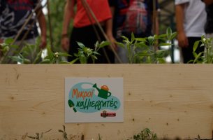 Η νέα δράση ESG της ΜΠΑΡΜΠΑ ΣΤΑΘΗΣ δημιουργεί τους καλλιεργητές του αύριο