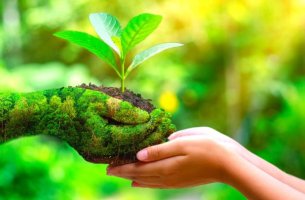 TNFD – Οδηγίες για “nature transition plans” από επιχειρήσεις και τράπεζες