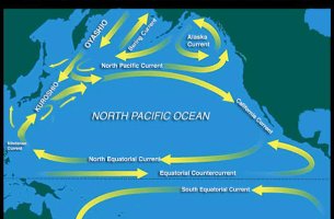 Ανησυχία για τη μετατόπιση του ρεύματος Kuroshio: θερμότερα νερά, άνοδος στάθμης και πιέσεις στην αλιεία της Ιαπωνίας