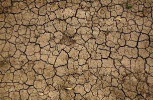 Νέα μελέτη του Πανεπιστημίου της Οξφόρδης προειδοποιεί για την παγκόσμια έξαρση των λοιμωδών νοσημάτων λόγω της κλιματικής αλλαγής