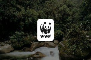 WWF: Καμπανάκι προς τις κεντρικές τράπεζες για τη φύση και τον χρηματοπιστωτικό κίνδυνο