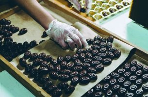 Επιστήμονες σώζουν τον κλάδο σοκολάτας από την κλιματική αλλαγή