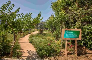 Νέο ΔΕΗ Mini Park στον Δήμο Αμαρουσίου 