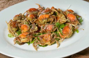 Θα αντέξει η «μοέκα» της Βενετίας στην κλιματική αλλαγή;