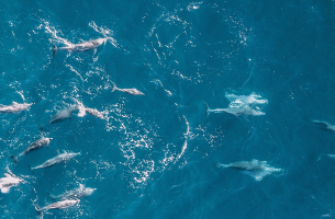 H Emirates NBD εκδίδει blue-green ομόλογο ύψους $1 δισ. ενισχύοντας τη βιώσιμη χρηματοδότηση στον Κόλπο