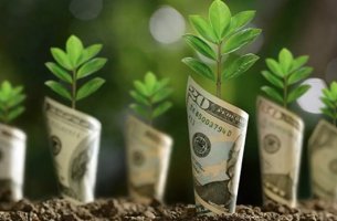 Το greenwashing διώχνει τους μικροεπενδυτές από τα «πράσινα» προϊόντα