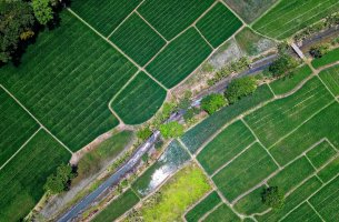Αναγεννητική Γεωργία: όταν η καλλιέργεια της γης γίνεται εργαλείο για την αντιμετώπιση της κλιματικής κρίσης