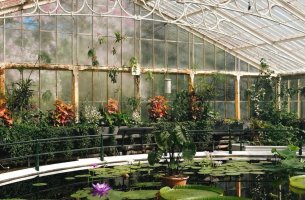 Kew Gardens: προς τα πρώτα net-zero ιστορικά θερμοκήπια στον κόσμο με επένδυση £60 εκατ.