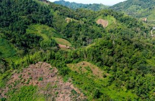 Έρευνα: €6,12 τρισ. εκτεθειμένα σε Nature Risk – Μόλις 1% των εισηγμένων συμπεριλαμβάνει τη βιοποικιλότητα στα reports