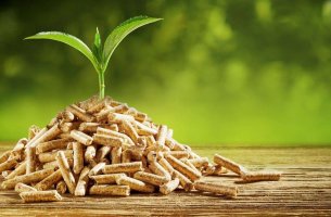 Είναι η βιομάζα ο αφανής ήρωας της ενεργειακής μετάβασης;