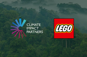 Η LEGO επενδύει ένα τεράστιο πόσο σε λύσεις carbon removal