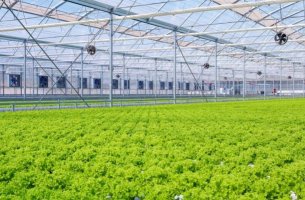 Ένας «Μαγικός Κήπος» για τη βιωσιμότητα στα ράφια των σούπερ μάρκετ 