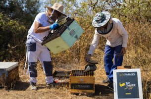 ΜΙΝΙΟΝ: Η αναγέννηση ενός αθηναϊκού συμβόλου – Από την εγκατάλειψη στις πράσινες ταράτσες με… μέλισσες