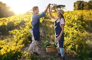 Lidl Ελλάς: Πρωταγωνιστής στην προστασία του πλανήτη