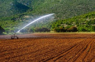 Ν.Δέρκας (Γεωπονικό Πανεπιστήμιο Αθηνών): «Μόνο το 0,8% των αγροτών έχει λάβει εκπαίδευση διαχείρισης νερού»