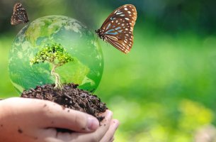 Έχει λήξει η συζήτηση για την αξία της βιωσιμότητας;