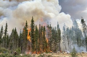 Καναδάς: Οι ασφαλιστικές προειδοποιούν για εκτόξευση κινδύνων από πυρκαγιές και ζητούν αυστηρότερη κλιματική πολιτική