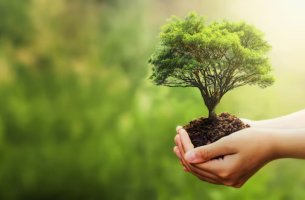 Green living στην πράξη: Τρεις ιδέες για να γίνετε πιο eco στην καθημερινότητα