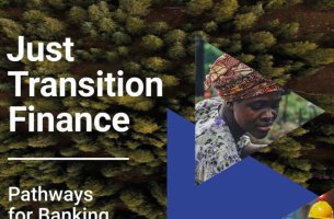 Just Transition Finance: Ο ρόλος τραπεζών και ασφαλιστικών στην κοινωνικά δίκαιη μετάβαση