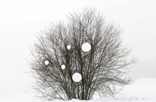 Καλλιτεχνική εγκατάσταση «Climate Clock» φέρνει τα μηνύματα της κλιματικής αλλαγής στο δάσος