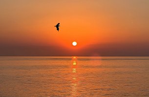 Energean: Όταν η φροντίδα για τον πλανήτη γίνεται μέρος ενός ETHOS!