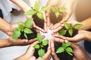 Όταν η βιωσιμότητα γίνεται τρόπος απόφασης