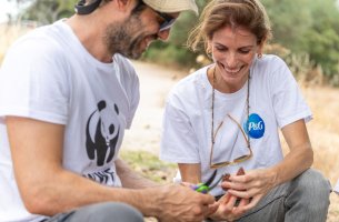 Συνεργασία Procter & Gamble και WWF Ελλάς: 5 χρόνια δράσης για τα ελληνικά δάση