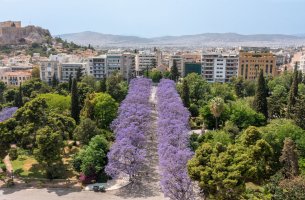 Ο Δήμος Αθηναίων στην παγκόσμια πρωτοβουλία του ΟΗΕ «50 Cities at 50° C»