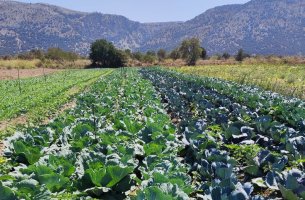 Μπορεί η φιλοξενία να συμβάλει στην αποκατάσταση της υγείας του εδάφους;
