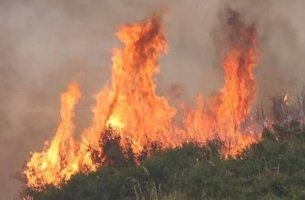 Ενέργειες Κρατικής Αρωγής για τις πυρκαγιές – Συντονισμός, επικοινωνίες και προγραμματισμός αυτοψιών της ΓΔΑΕΦΚ