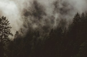 WWF: Η Νότια Ευρώπη καίγεται ενώ η ΕΕ αποδυναμώνει τις φυσικές της άμυνες απέναντι στην κλιματική κρίση