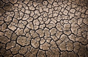 COP17 για την ερημοποίηση: Στο τραπέζι πάνω από 12 δισ. δολάρια για ξηρασία και υποβάθμιση γης