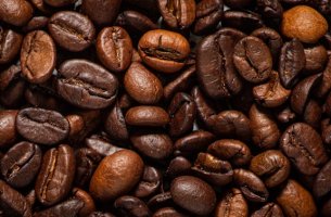 Καφές robusta: Νέα μελέτη αμφισβητεί την ανθεκτικότητά του στην κλιματική αλλαγή