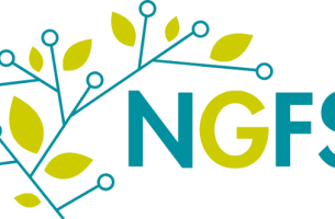 NGFS: Κλιματικοί και nature-related κίνδυνοι περνούν στον πυρήνα της τραπεζικής εποπτείας