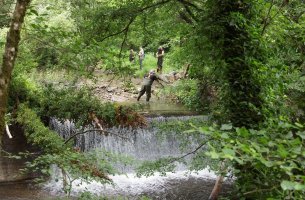 Ημέρα Απομάκρυνσης Φραγμών από Ποταμούς: Περισσότερα από 600 εμπόδια αφαιρέθηκαν το 2025 από ποταμούς της Ευρώπης