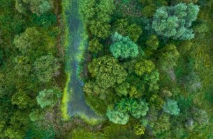 UNEP FI: Η φύση μπαίνει στο underwriting – Νέο Climate-Nature Nexus Atlas