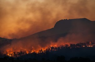 ΕΑΕΕ | Δασικές πυρκαγιές Ιουλίου-Αυγούστου 2026: Σε €6,41 εκατ. συνολικά εκτιμώνται οι αποζημιώσεις των ασφαλιστικών επιχειρήσεων