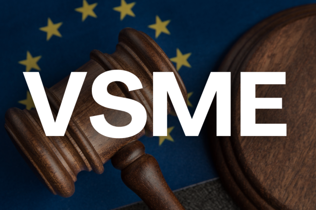 VSME: Η Νέα Εποχή της Εθελοντικής Αναφοράς ESG για Μικρομεσαίες Επιχειρήσεις