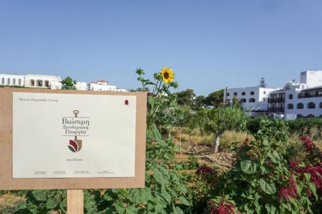 Metaxa Hospitality Group: Νέα ESG διάκριση για τις βιολογικές-αναγεννητικές ξενοδοχειακές γαίες