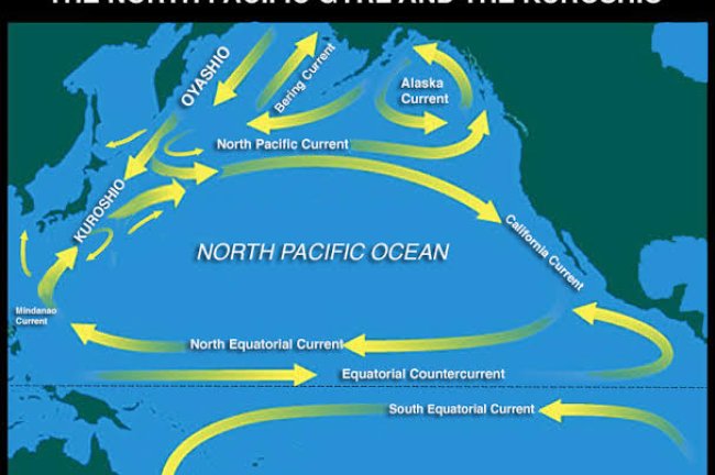 Ανησυχία για τη μετατόπιση του ρεύματος Kuroshio: θερμότερα νερά, άνοδος στάθμης και πιέσεις στην αλιεία της Ιαπωνίας