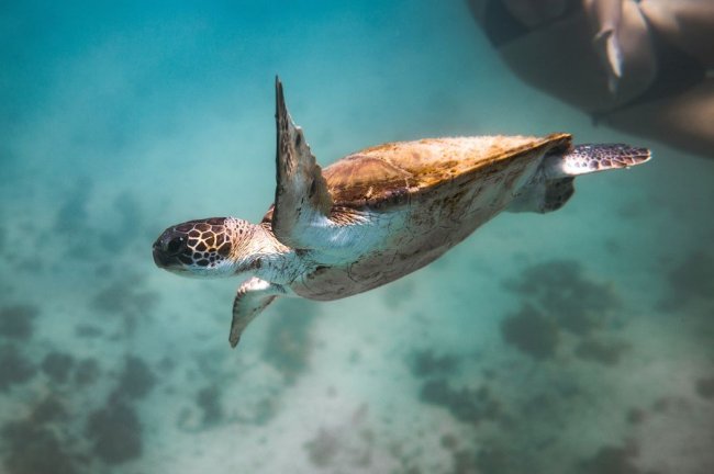 Επτά «αθόρυβες» νίκες για το κλίμα και τη φύση το 2025