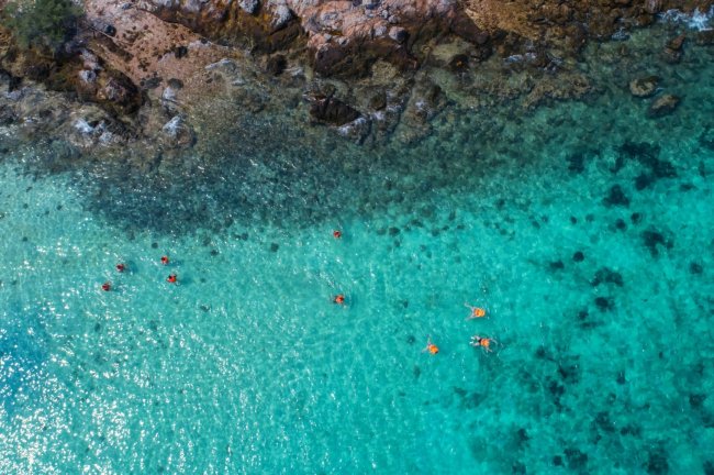 Εθνικά θαλάσσια πάρκα: Εγκρίθηκαν οι ειδικές περιβαλλοντικές μελέτες σε Ιόνιο και Νότιο Αιγαίο