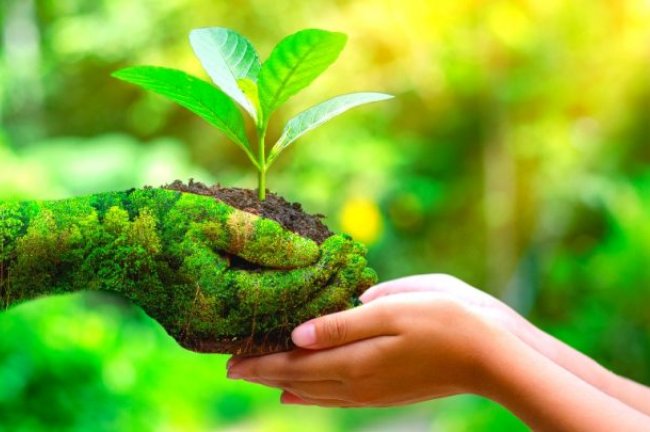 Πρώτο «biodiversity credit» δάνειο στον κόσμο ανοίγει τον δρόμο για ESG επενδύσεις στη βιοποικιλότητα