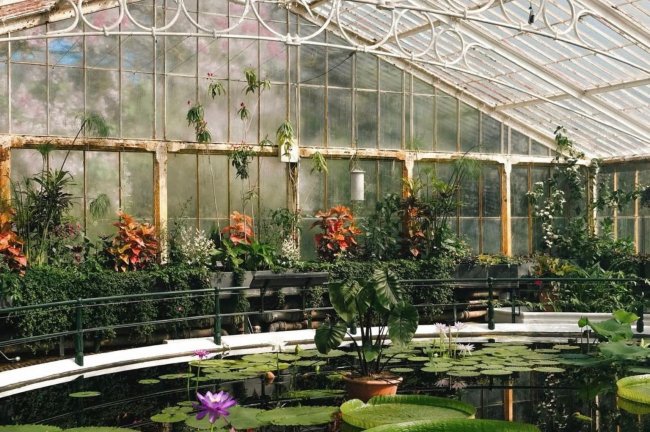 Kew Gardens: προς τα πρώτα net-zero ιστορικά θερμοκήπια στον κόσμο με επένδυση £60 εκατ.