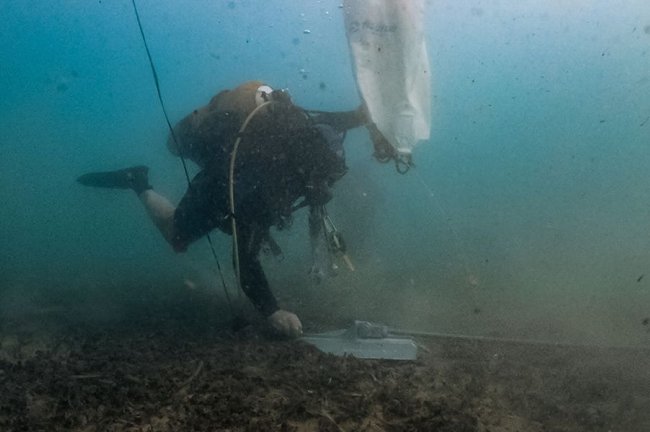 Τι τρέχει με τα λιβάδια Ποσειδωνίας στο Πόρτο Ράφτη; - Νέα δράση σύμπραξης δημοσίου και ιδιωτικού τομέα για καλό σκοπό