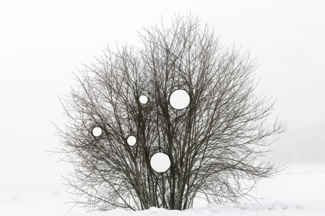 Καλλιτεχνική εγκατάσταση «Climate Clock» φέρνει τα μηνύματα της κλιματικής αλλαγής στο δάσος