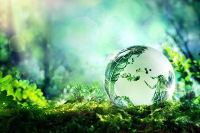 Από τη συμμόρφωση στην ουσία — και από τη βιωσιμότητα στην αναγέννηση